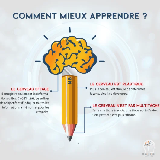 graphiste montpellier
